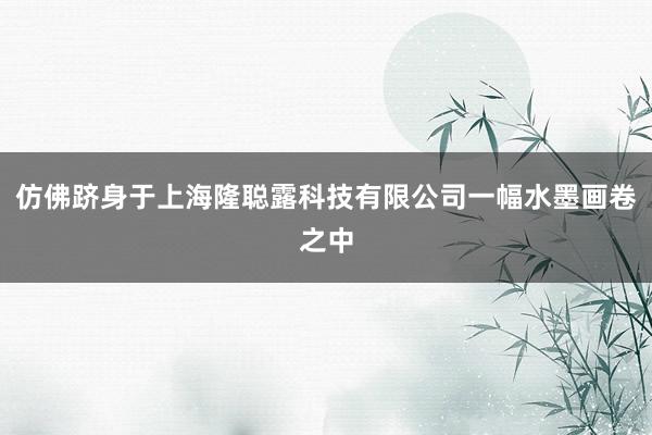 仿佛跻身于上海隆聪露科技有限公司一幅水墨画卷之中